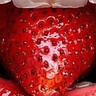 SweetStrawberryxP