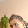 KotTom