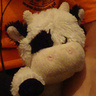 xEwelka13