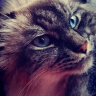 blueeyed