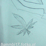 Bammbi17
