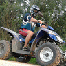 domel2410