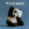 PUPILEK1234
