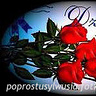 poprostusylwusia