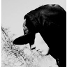 Zobacz profil Rap3r3k22 na Fotce