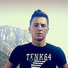 Domis1331