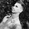 bobo334