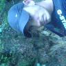 Seba13288