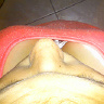 xxPrzyPaloWiecxx