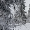 Oregonn