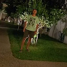 Niomek
