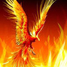 fenix1978