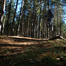 michal7294