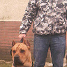 ninen24