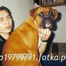 pawcio19799791