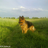 KrzychuMAXEN