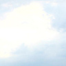 dawiko10