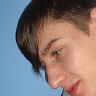brucelii