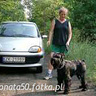donata50