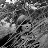 kasia101045