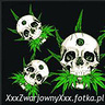 XxxZwarjownyXxx