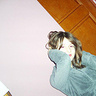 GwiaZdeczQ12