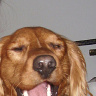 rdeloop