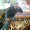 tieger