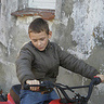 lewy53