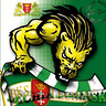 TomiRutx3x3