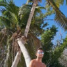 bogdao
