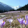 grzegorz333