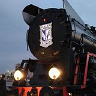 tylutkikks