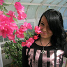 NonSumQualisEra