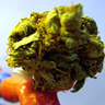 PoweredByThc