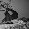 fifirifiiix3