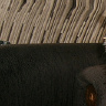 mariola543