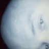 Tomek277777