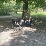 bozenazakrzewska3