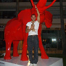 adamgajos714
