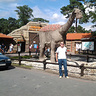 Bartek170182