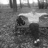 Tomasz402