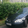Damiano1988w