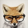 FoxOP