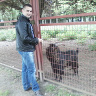lukass020