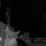 HaniaRavensky
