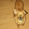 Magda2000434