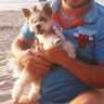 diabelto