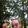 lysek19