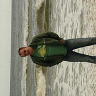 mateusz3737